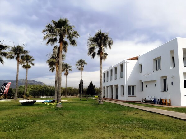 A modern building with a flat roof, multiple windows, and a grassy area with palm trees.