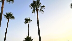 A backyard with a swimming pool, palm trees, and outdoor furniture. - WaWa Tarifa (Tarifa)