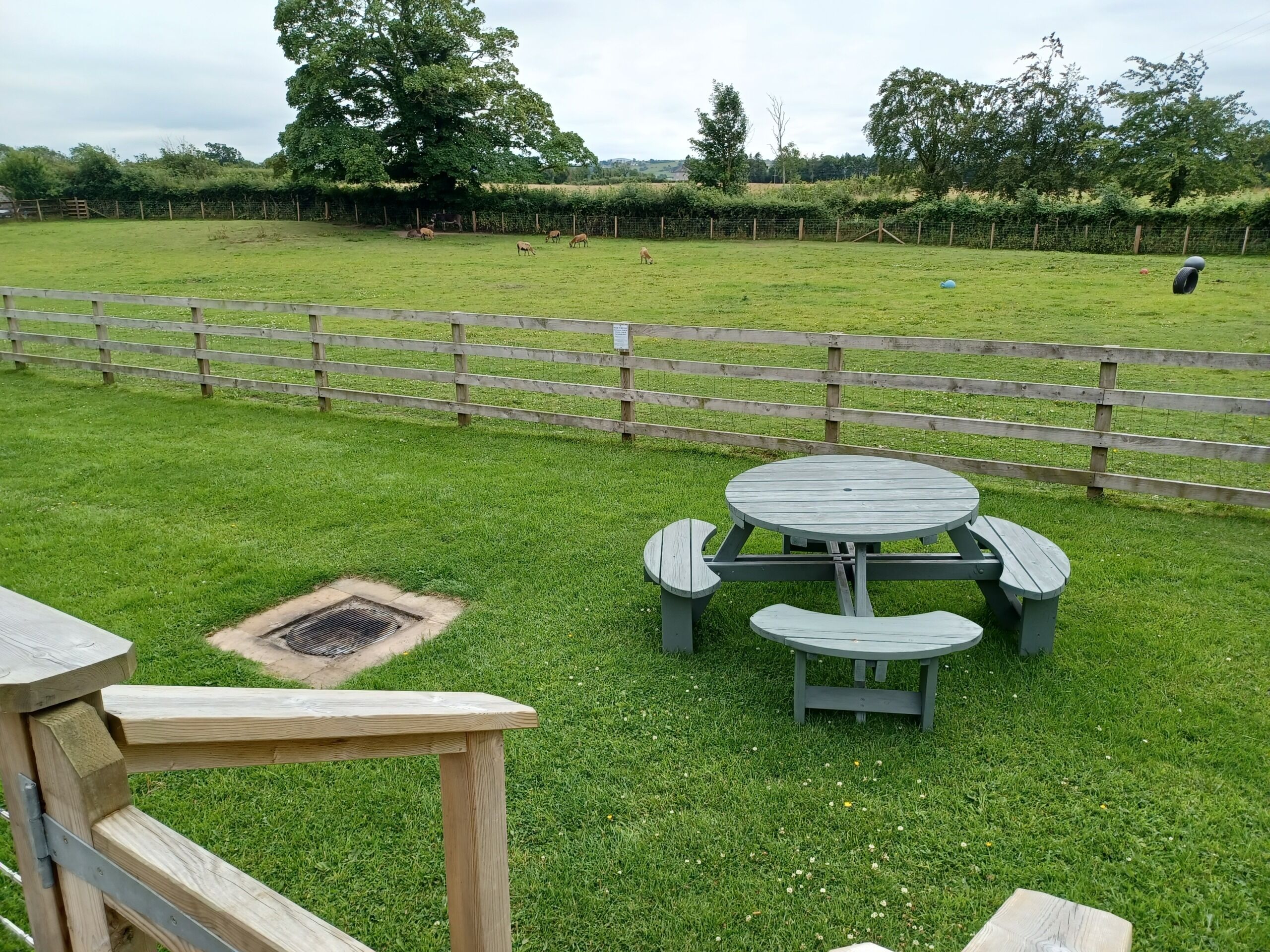A grassy outdoor area with a wooden fence, picnic table, and benches.