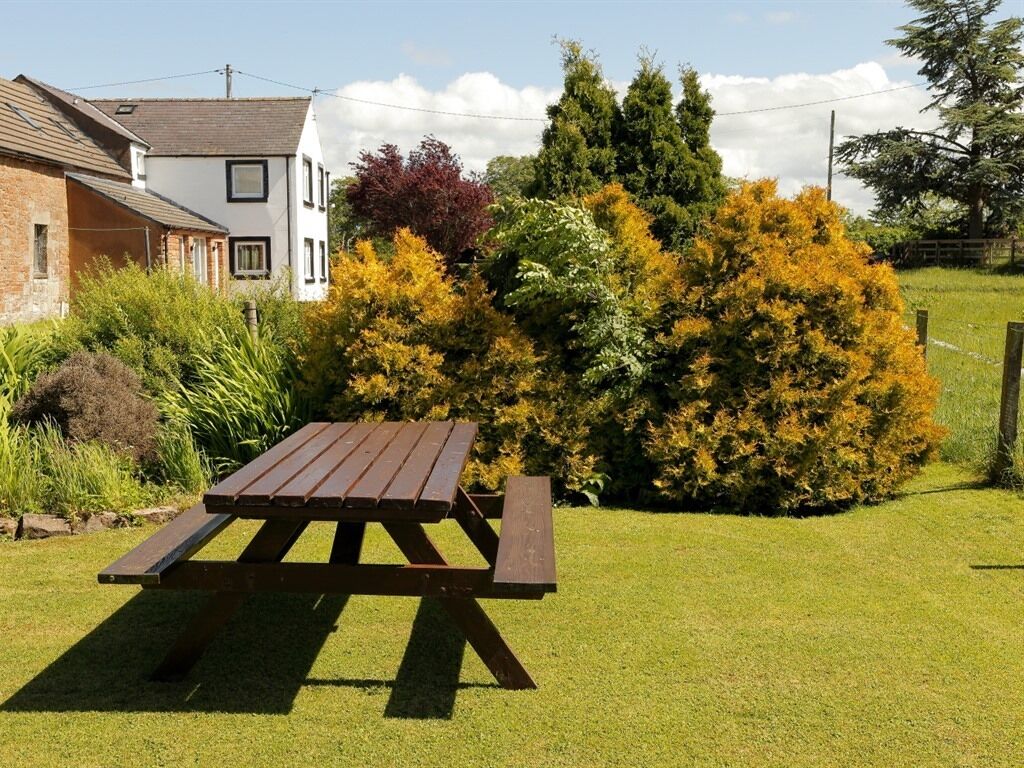 A picnic table in a grassy area with a house and trees in the background.