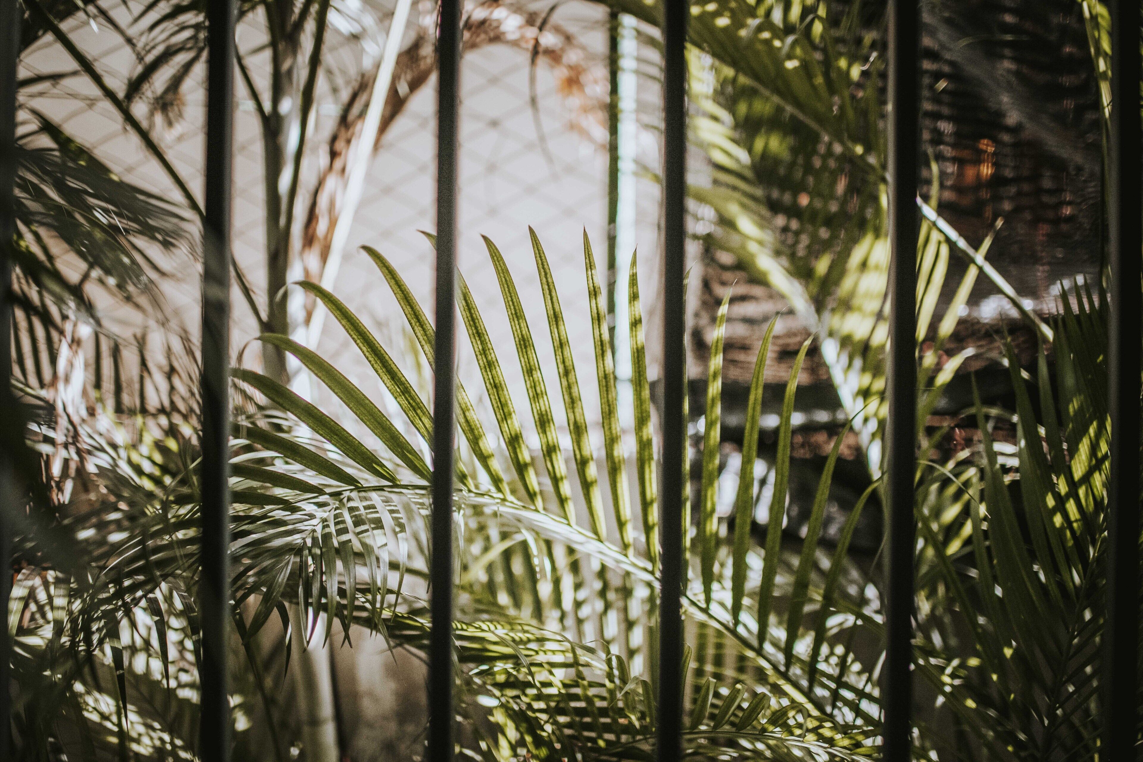 room (master) | frette italian sheets, premium bedding, tempur-pedic beds, in-room safe