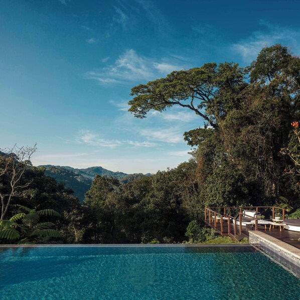 Outdoor pool, sun loungers - One&Only Nyungwe House (Bushekeri)