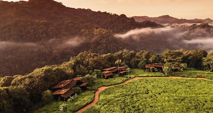 One&Only Nyungwe House