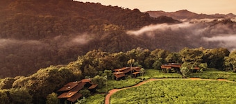One&Only Nyungwe House