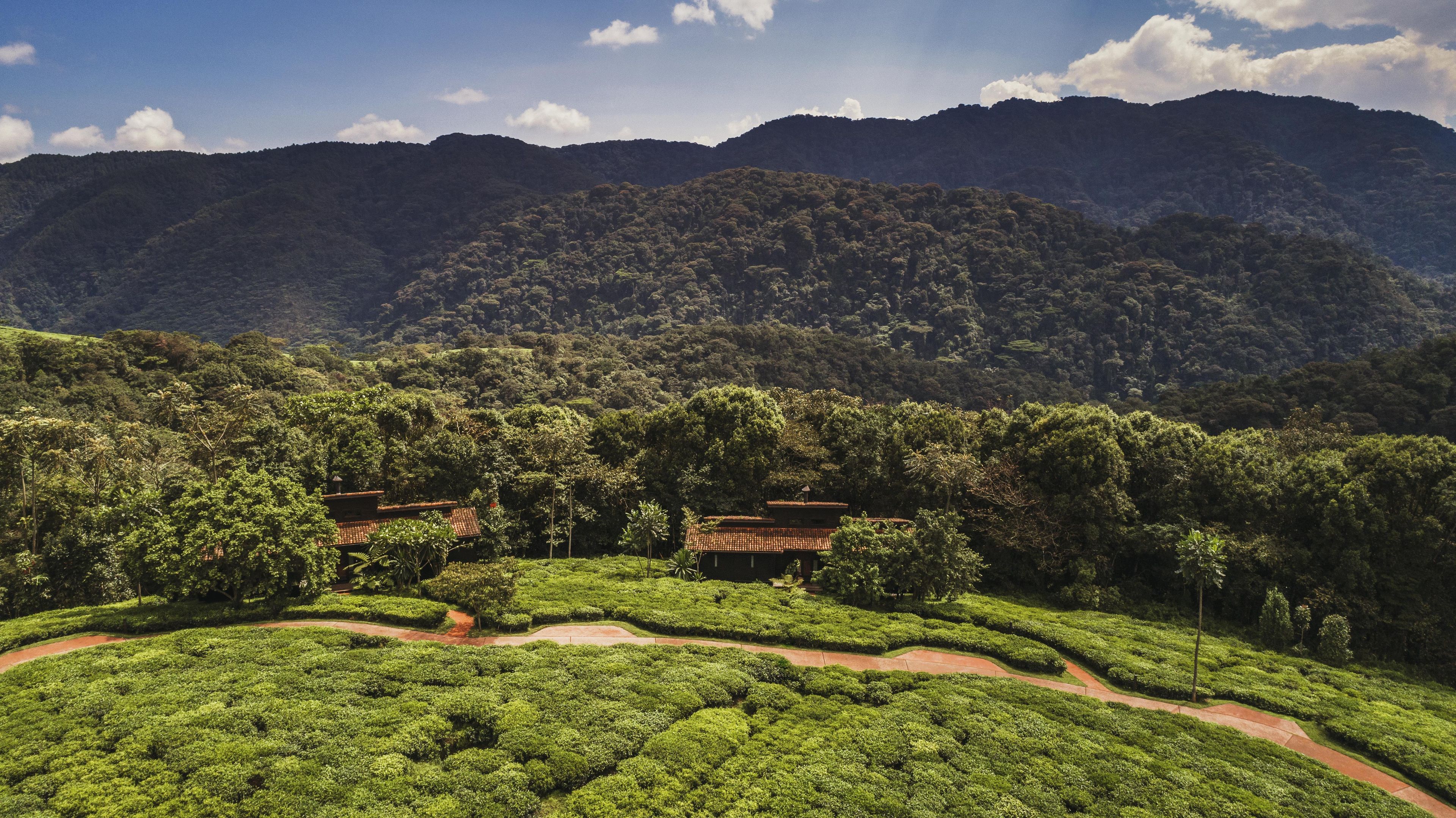 Un paisaje verde exuberante con campos en terrazas y una construcción tradicional con techo de tejas.