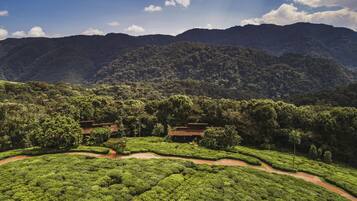 Un paisaje verde exuberante con campos en terrazas y una construcción tradicional con techo de tejas.
