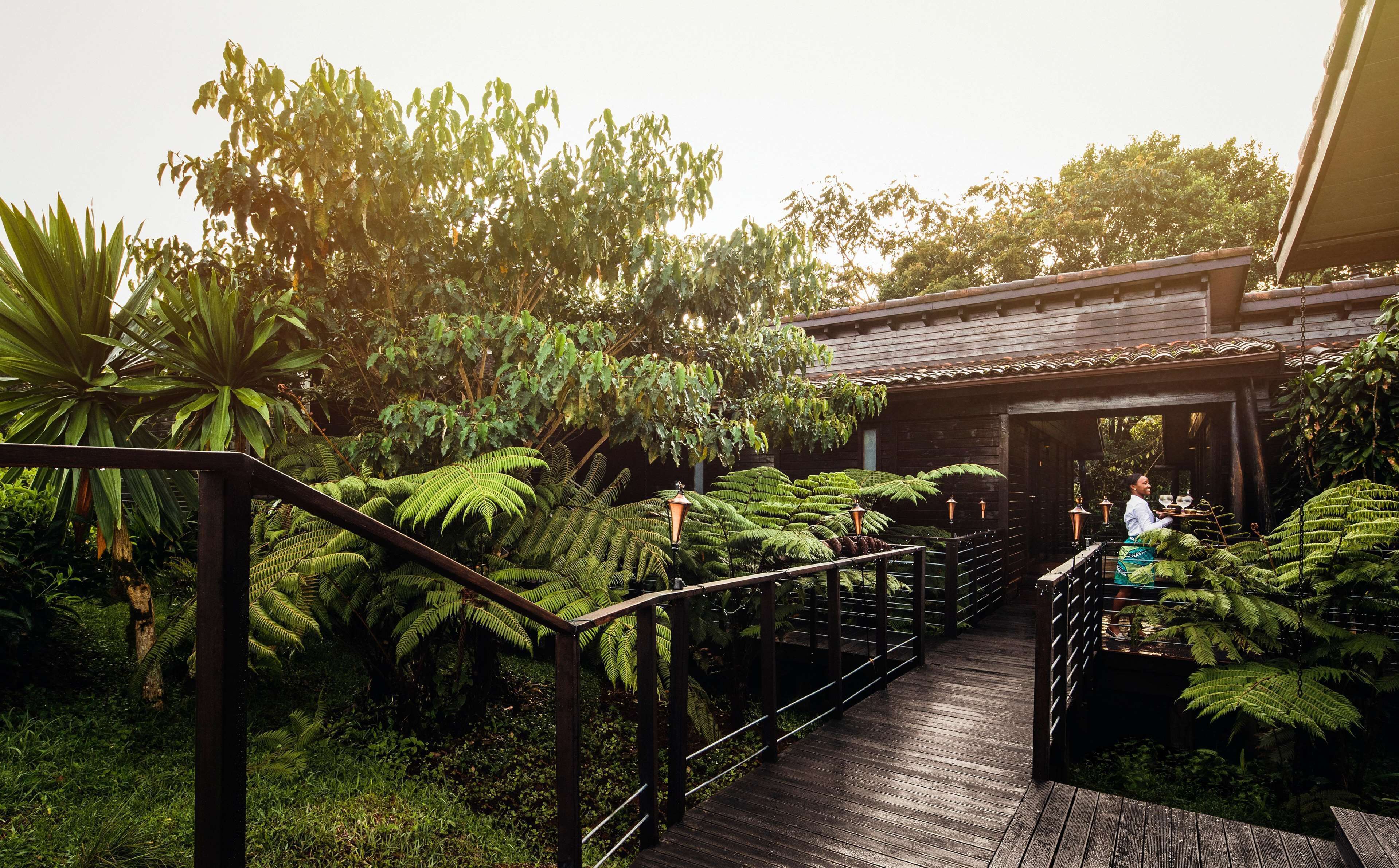 A wooden pathway leading to a building with a tiled roof, surrounded by lush greenery and ferns.