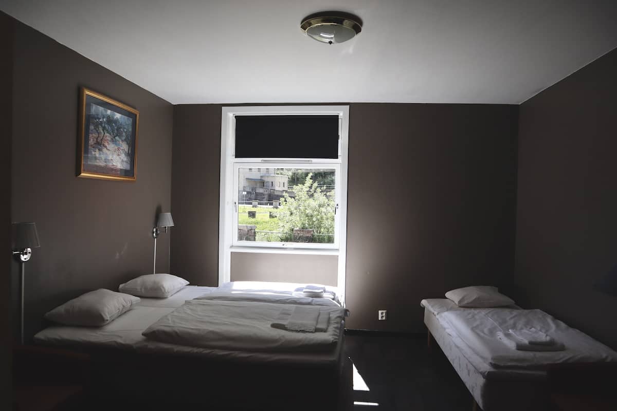 A room with two beds, a window with a view of greenery and buildings, and a ceiling light fixture.