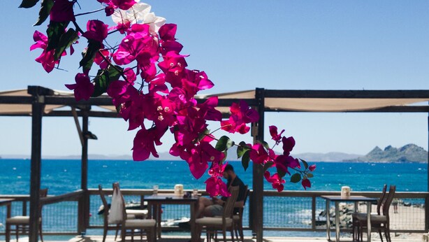 A seaside patio with tables and chairs, overlooking the ocean.