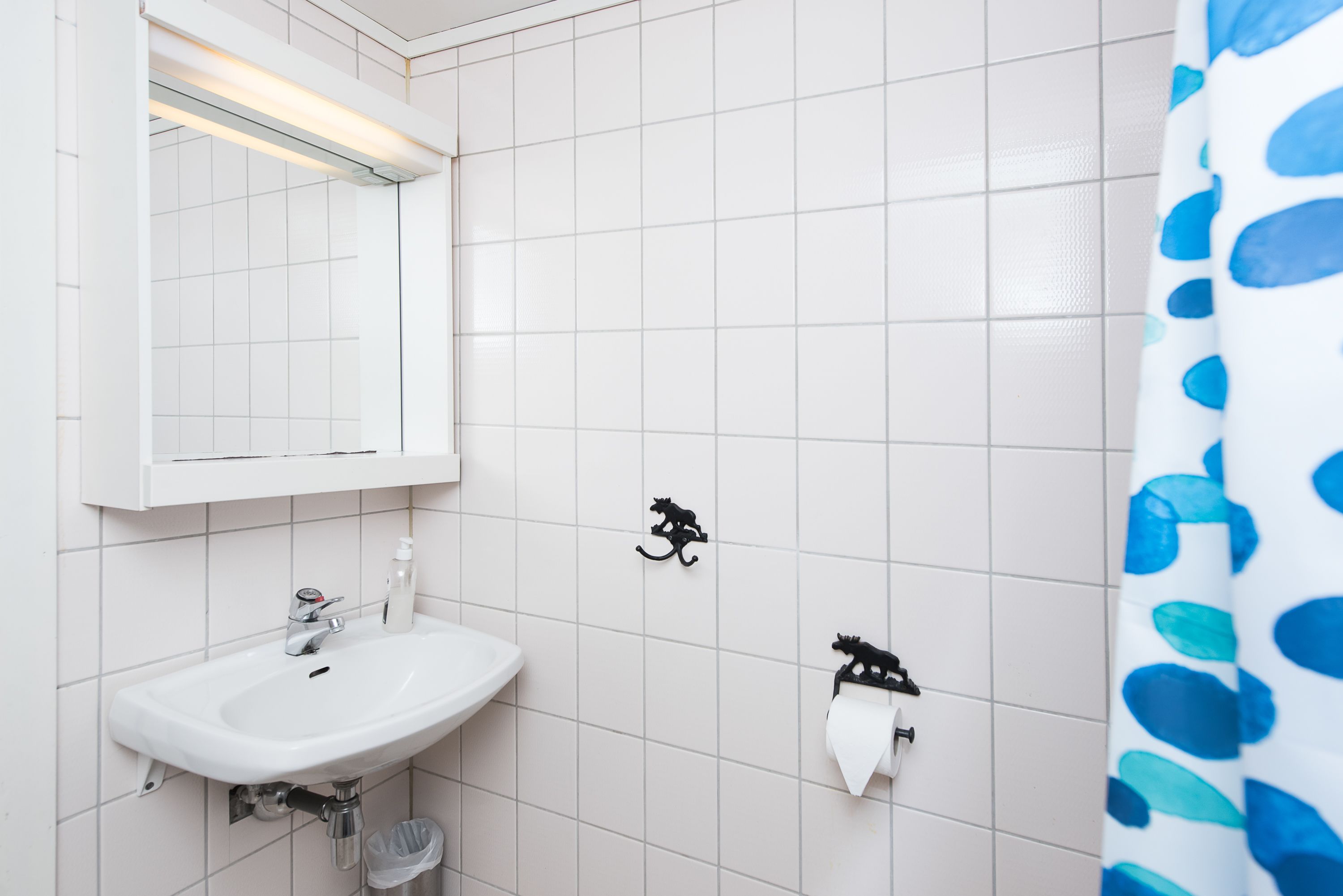 Bathroom sink