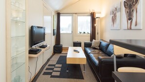 42-inch TV with cable channels - Raulandsfjell (Vinje)
