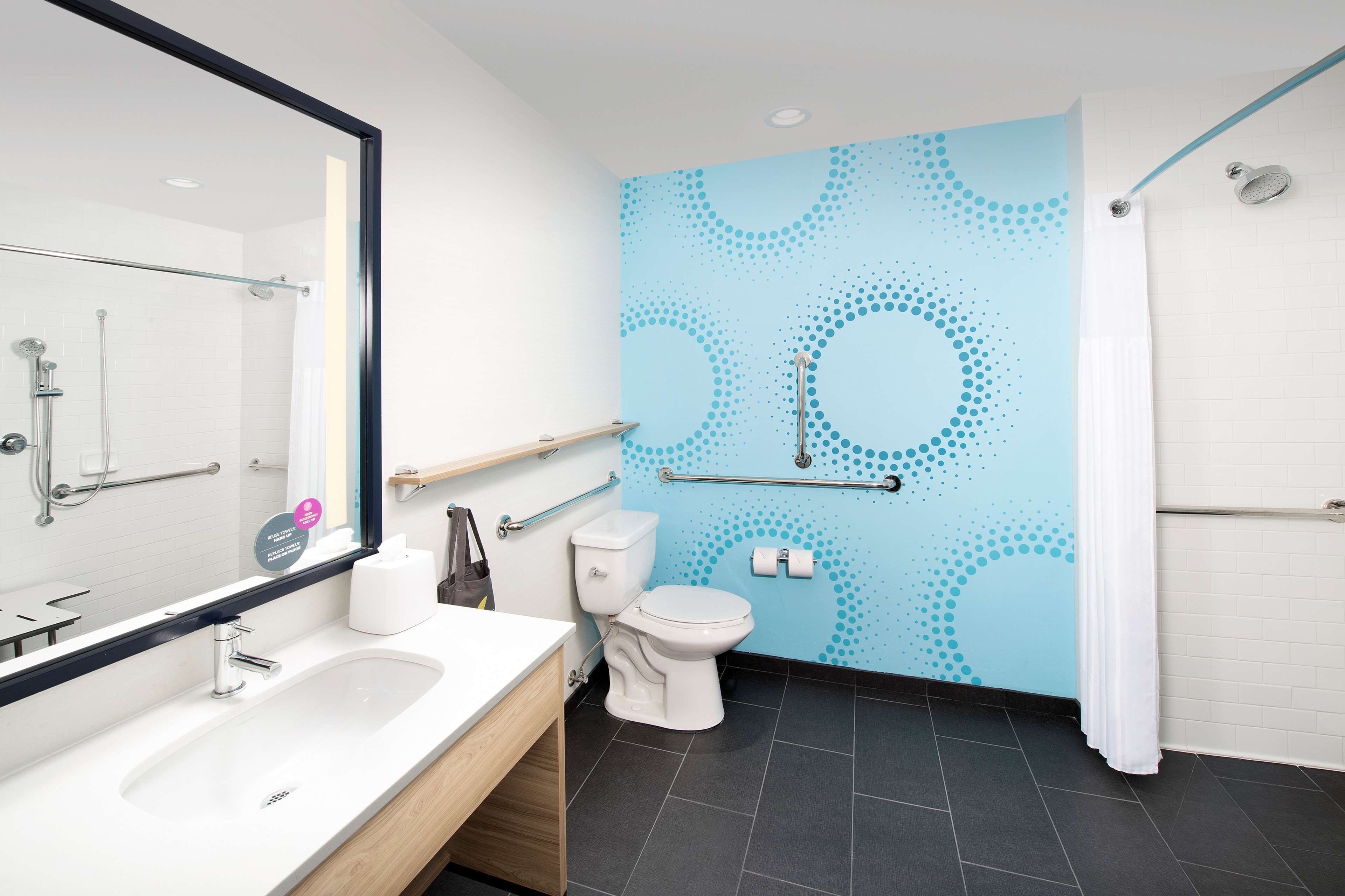 room, 1 king bed, accessible (hearing, roll-in shower) | bathroom shower