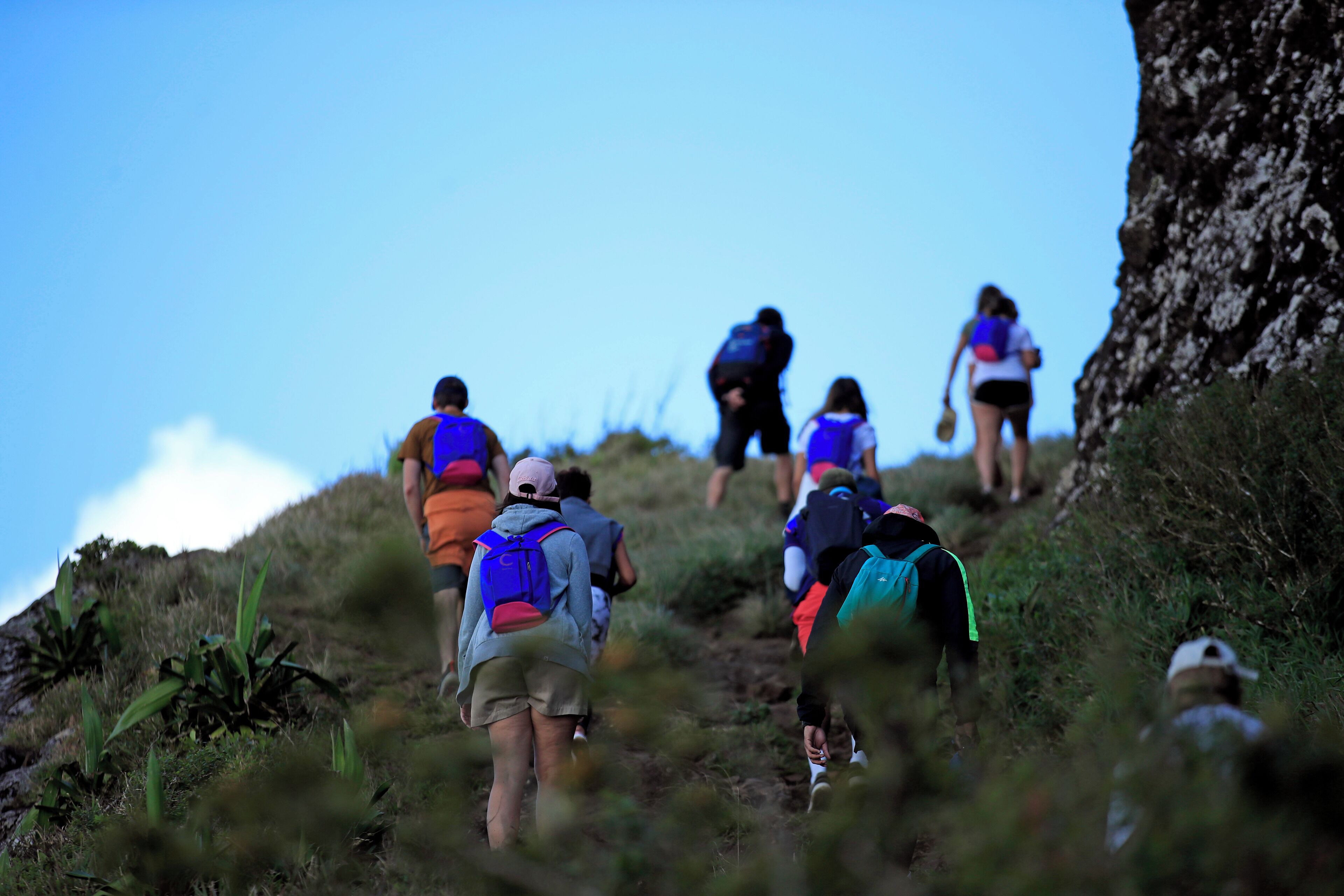 Um grupo de pessoas caminhando por uma encosta gramada sob um céu claro.