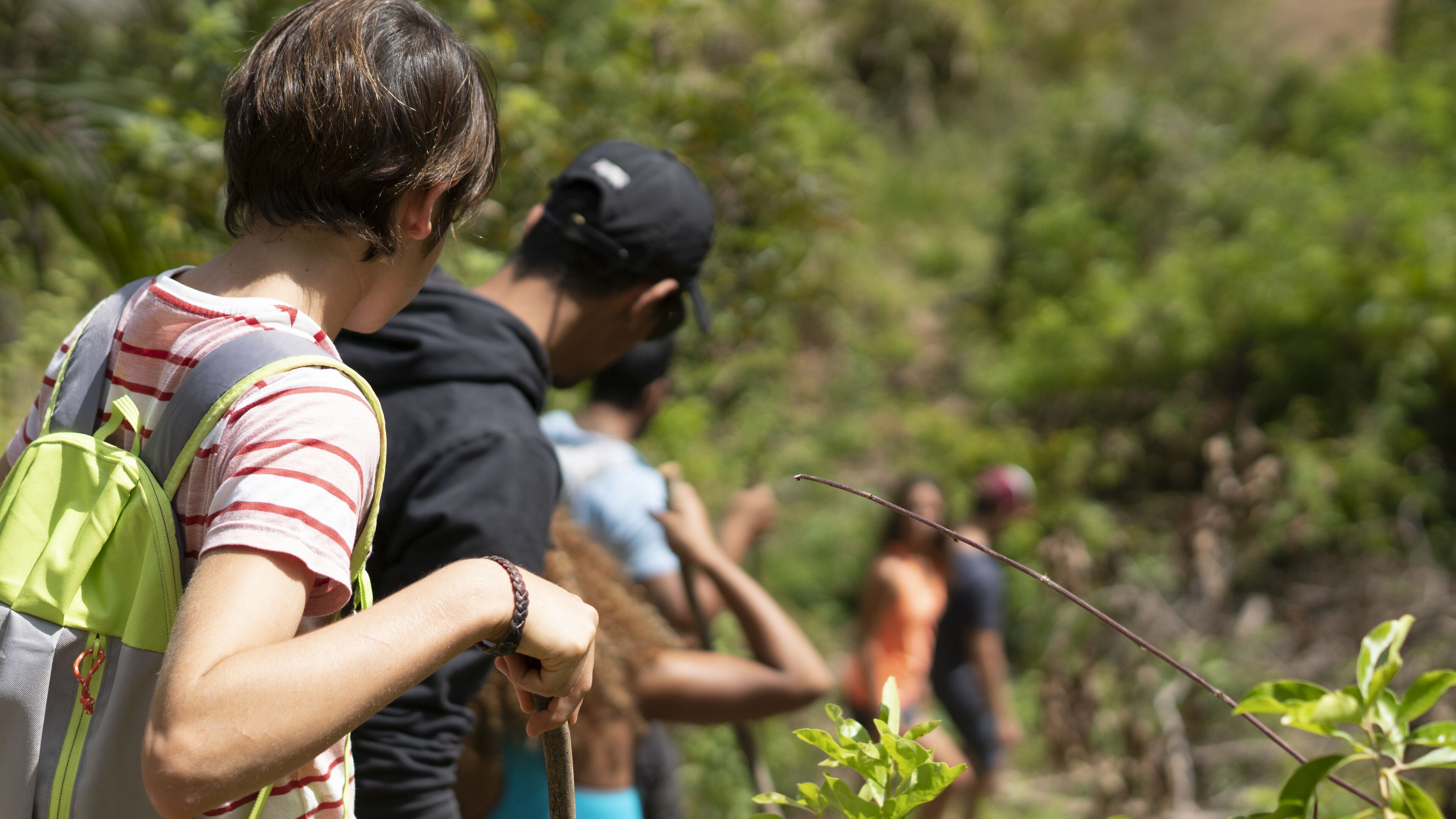Um grupo de pessoas caminhando em uma área arborizada.