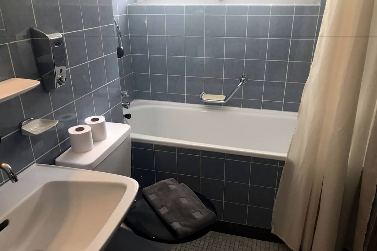 standard double room, mountain view | bathroom | rainfall showerhead, eco-friendly toiletries, hair dryer, towels