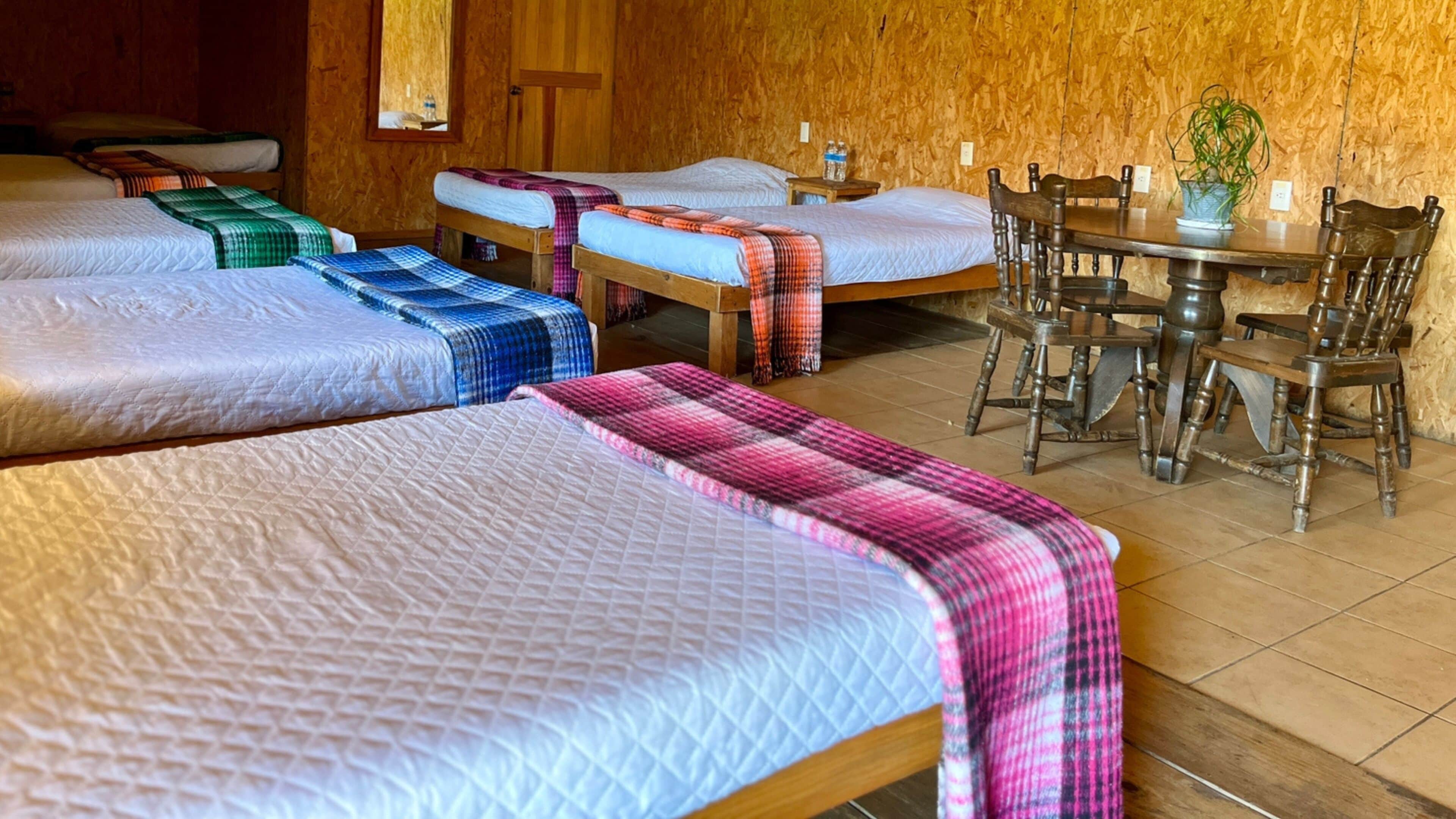 A room with four beds, each with a different patterned bedspread. There is a wooden table with chairs and a potted plant.