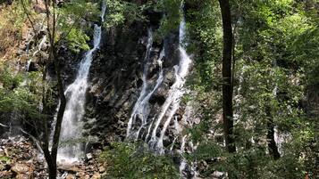Ein Wasserfall stürzt über felsiges Gelände, umgeben von dichtem Grün.