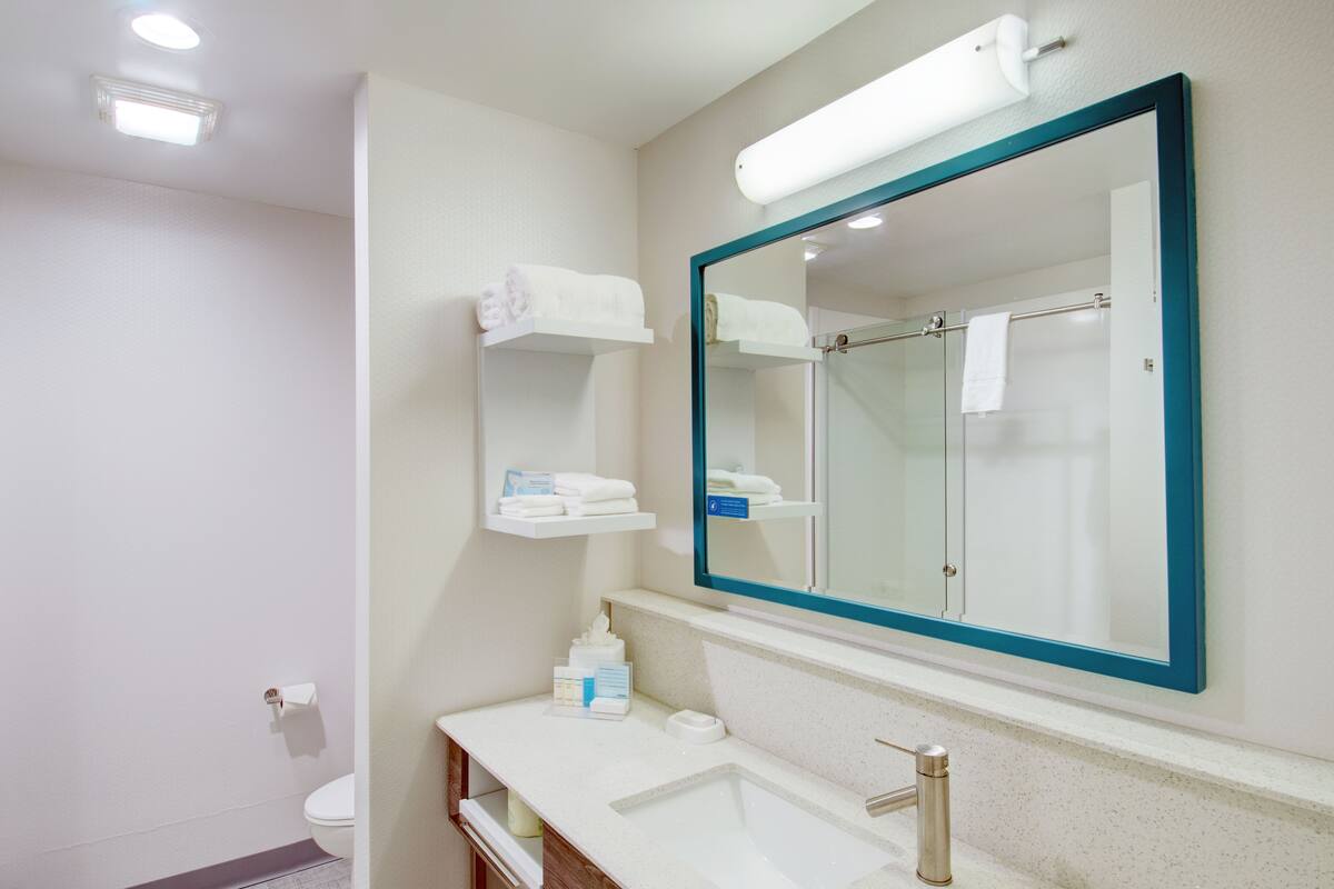 room, 1 king bed, accessible, non smoking (mobility & hearing, roll-in shower) | bathroom | combined shower/bathtub, free toiletries, hair dryer, towels