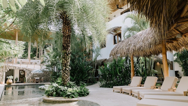 Un área de piscina con sillas de descanso, rodeada de plantas tropicales y una estructura con techo de paja.