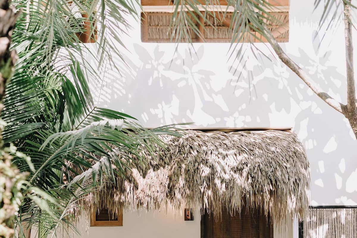 Basic Room, 1 King Bed | Terrace/patio