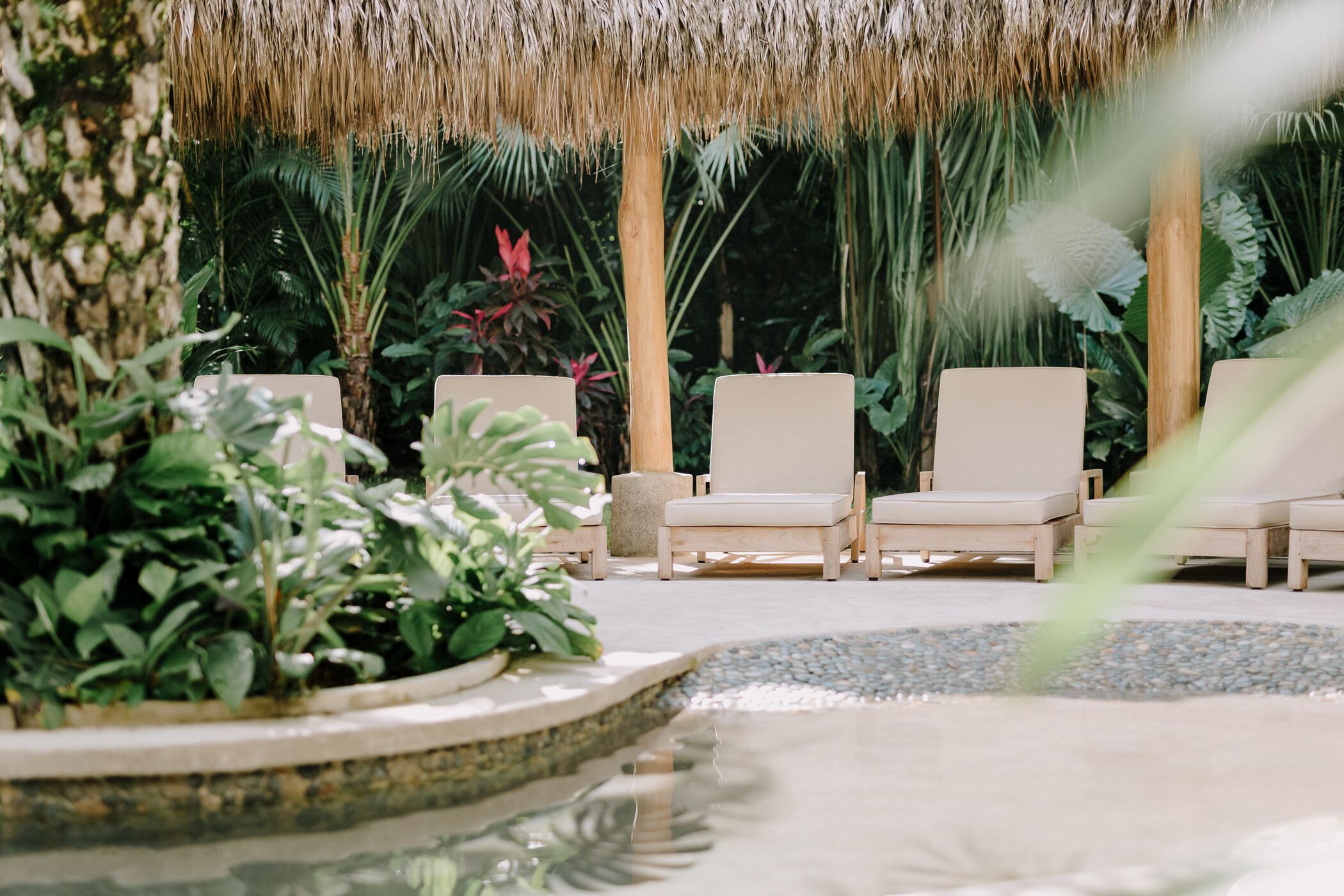 Un jardín tropical con techo de paja, sillas de descanso y un elemento acuático circular.