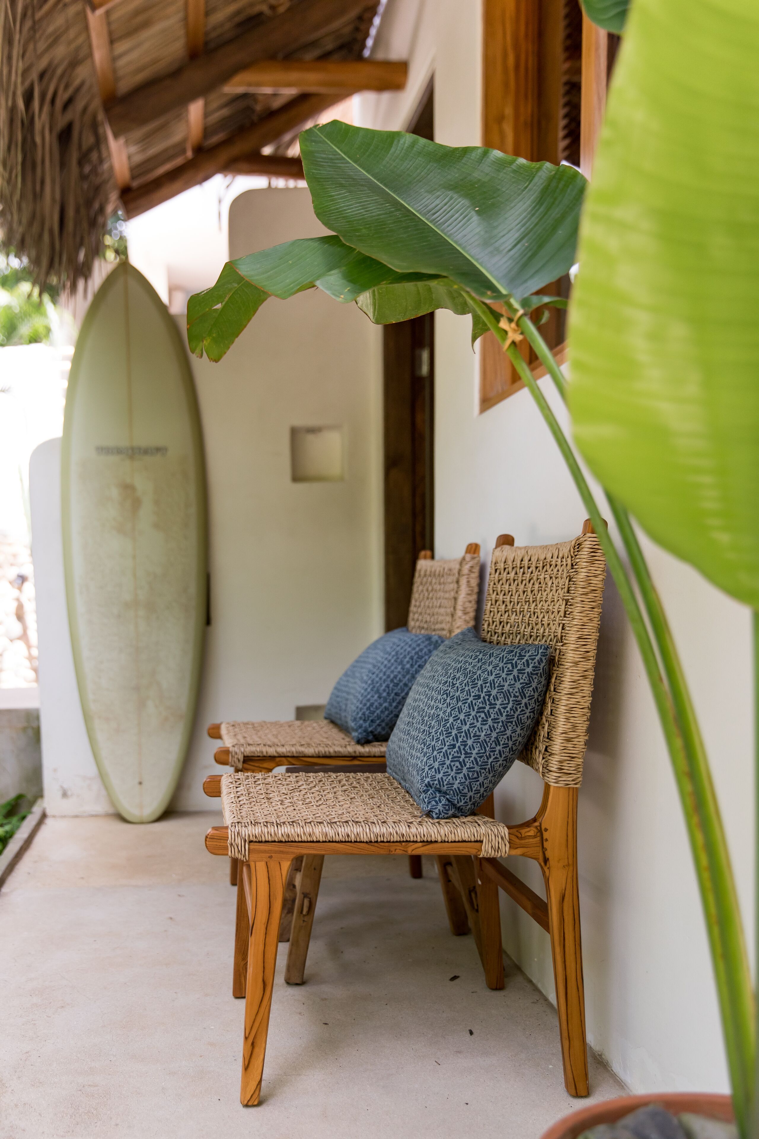 A wooden chair with woven seats and cushions, a surfboard leaning against a wall, and a large green plant in the foreground.