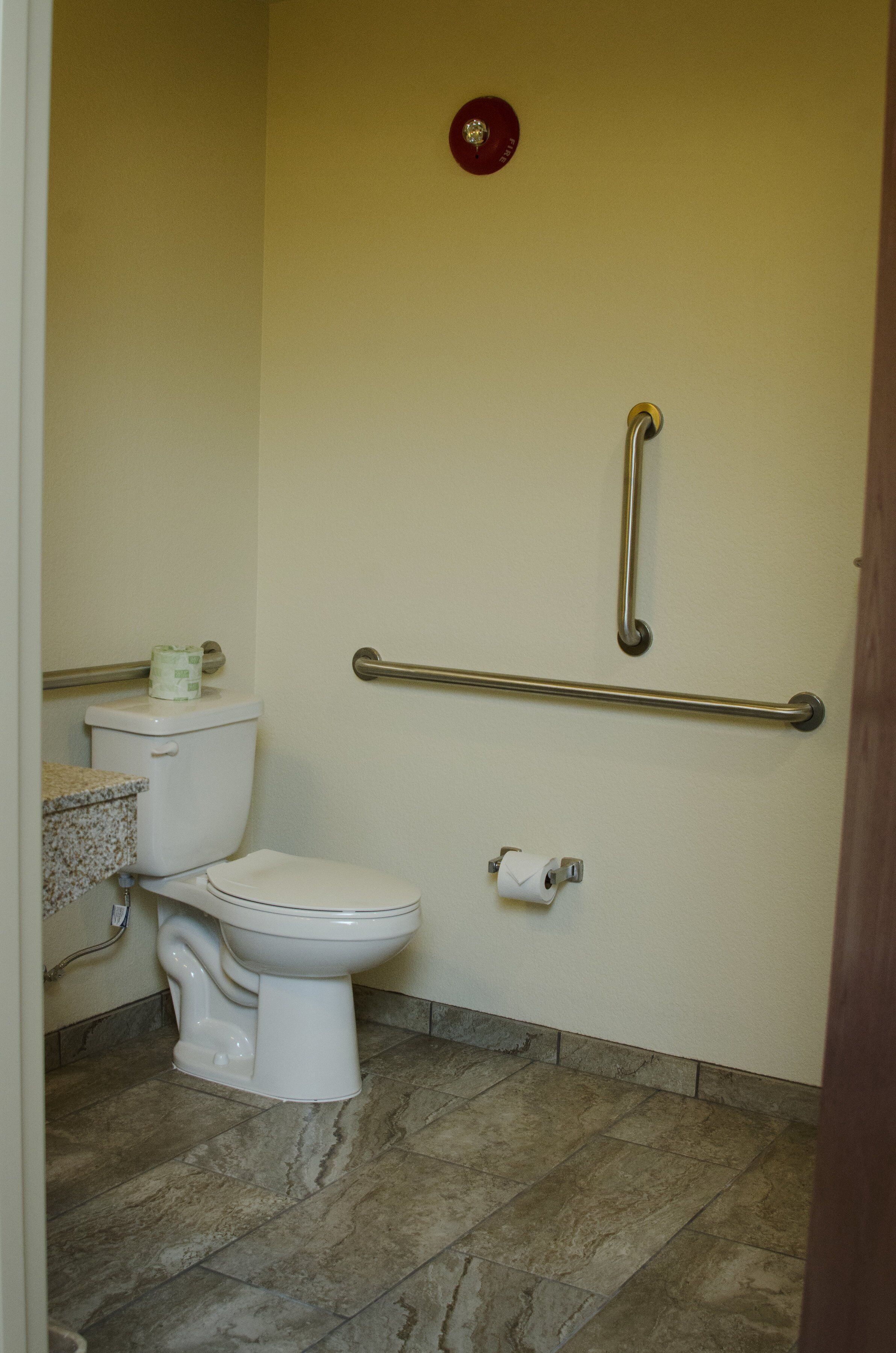 A bathroom with a toilet, a handrail, and a roll of toilet paper on the wall.