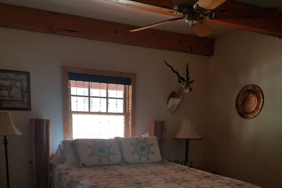 Comfort Single Room, 1 Queen Bed, Private Bathroom, River View | Soundproofing, iron/ironing board, bed sheets, wheelchair access