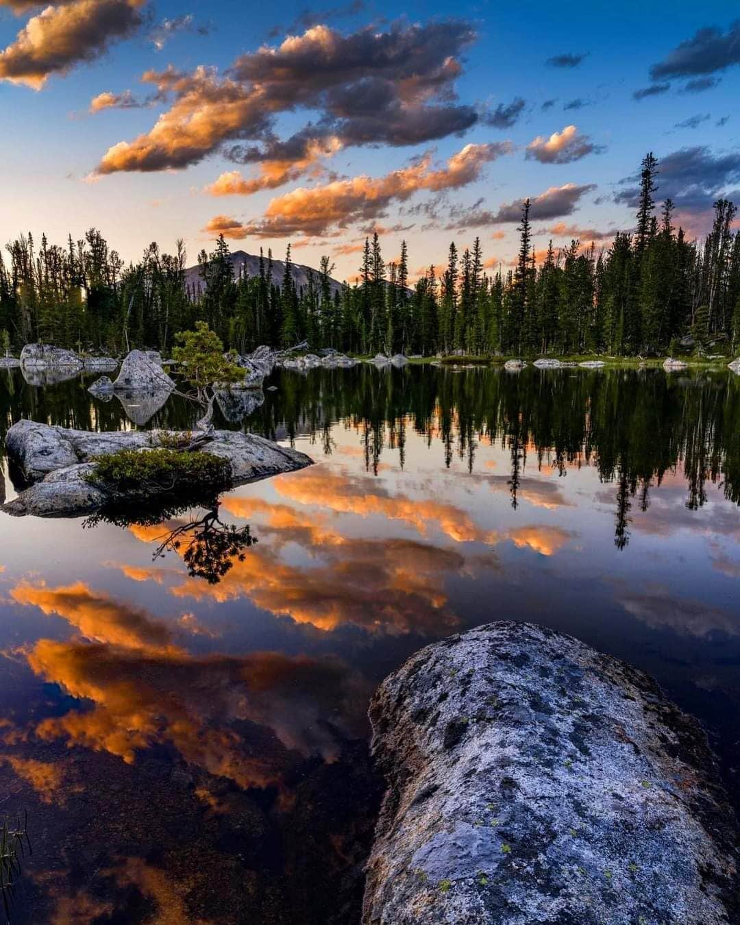 Un paysage paisible au bord d’un lac, avec une eau calme qui reflète le ciel et les arbres environnants.