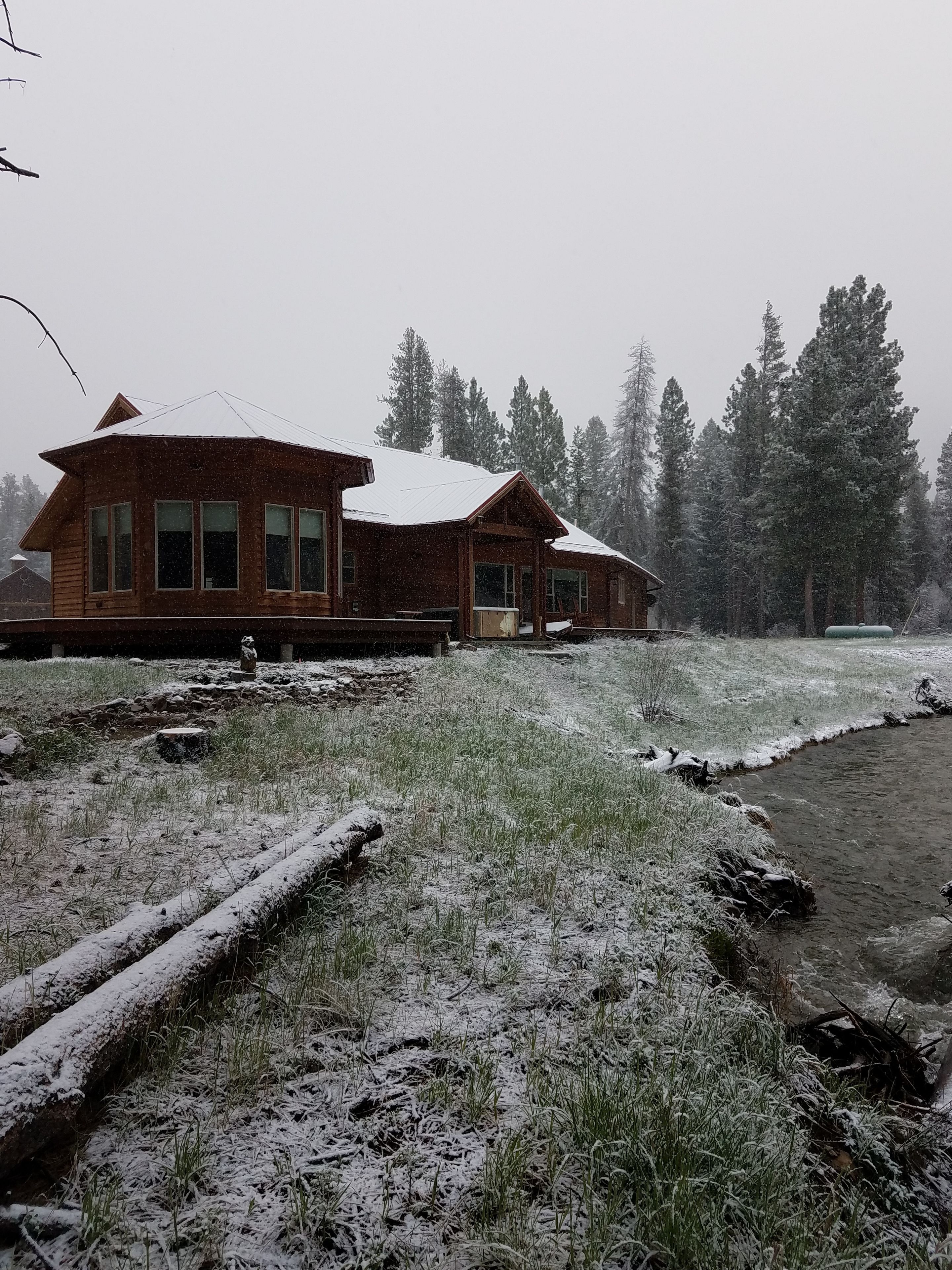 Classic Cabin, 1 Bedroom, Refrigerator & Microwave, River View | View from room