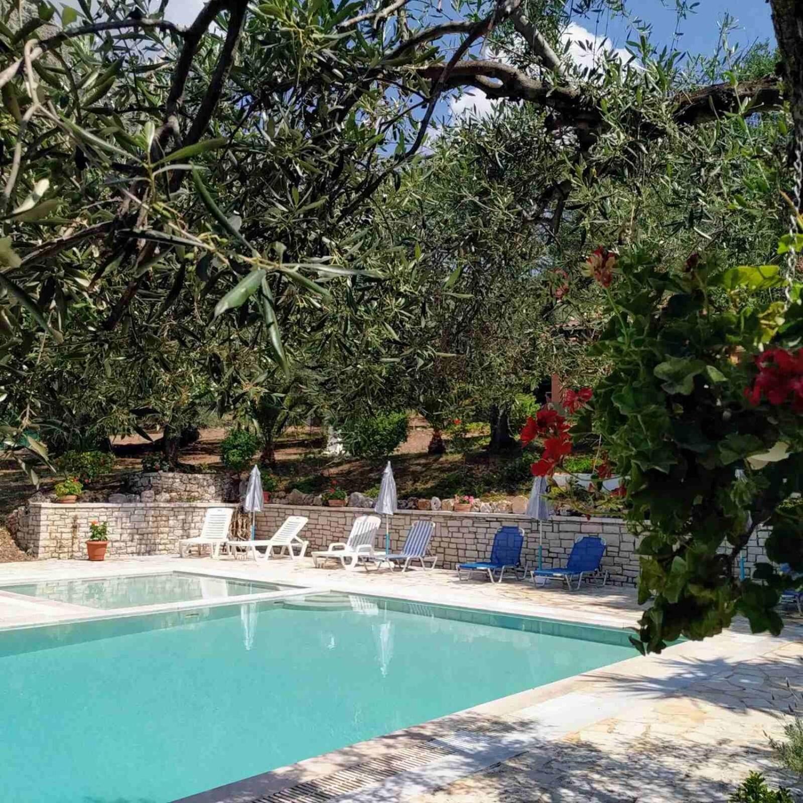 A swimming pool with lounge chairs and umbrellas, surrounded by trees and a stone wall.