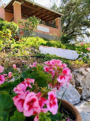 Exterior detail - Villa Stefanos Apartments by Hotelius (Corfu)