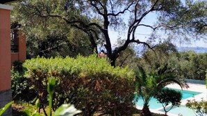 Un espacio al aire libre con árboles y una piscina.