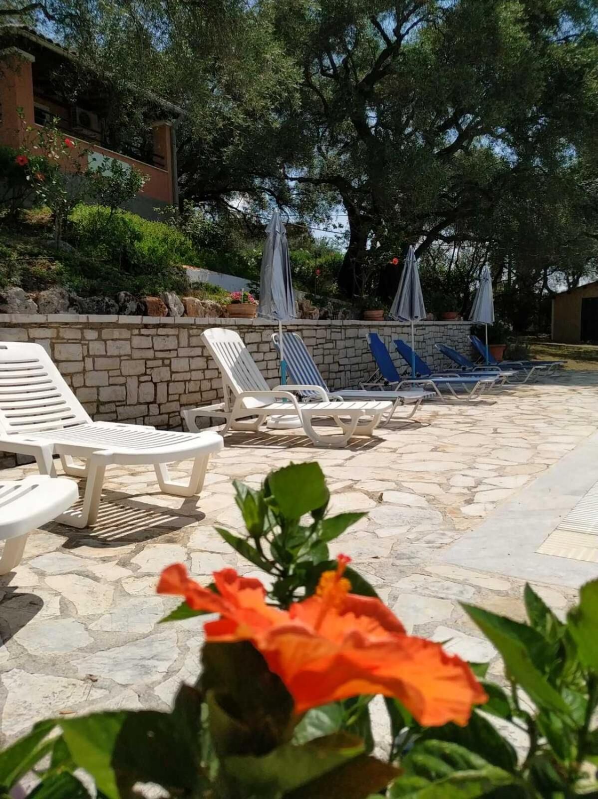 A stone patio with lounge chairs and umbrellas, surrounded by greenery and a stone wall.