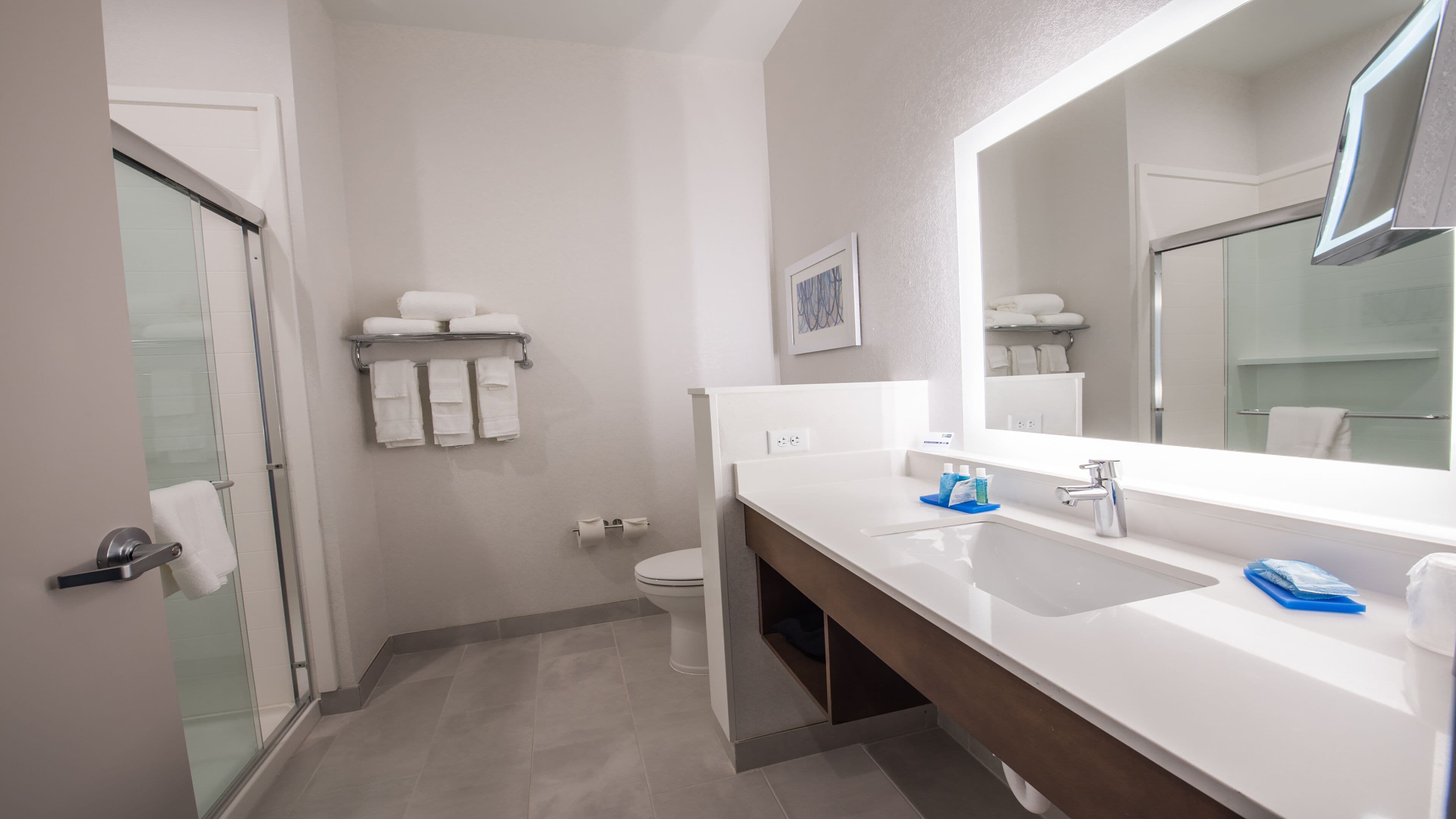 combined shower/bathtub, free toiletries, hair dryer, towels