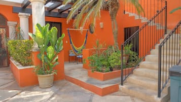El Tulipan | Terraza o patio