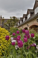 特色装修、特色家居、办公桌、遮光窗帘