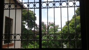 Ein Fenster mit einem Metallgitter, durch das ein Garten mit Bäumen und rosa Blumen zu sehen ist.