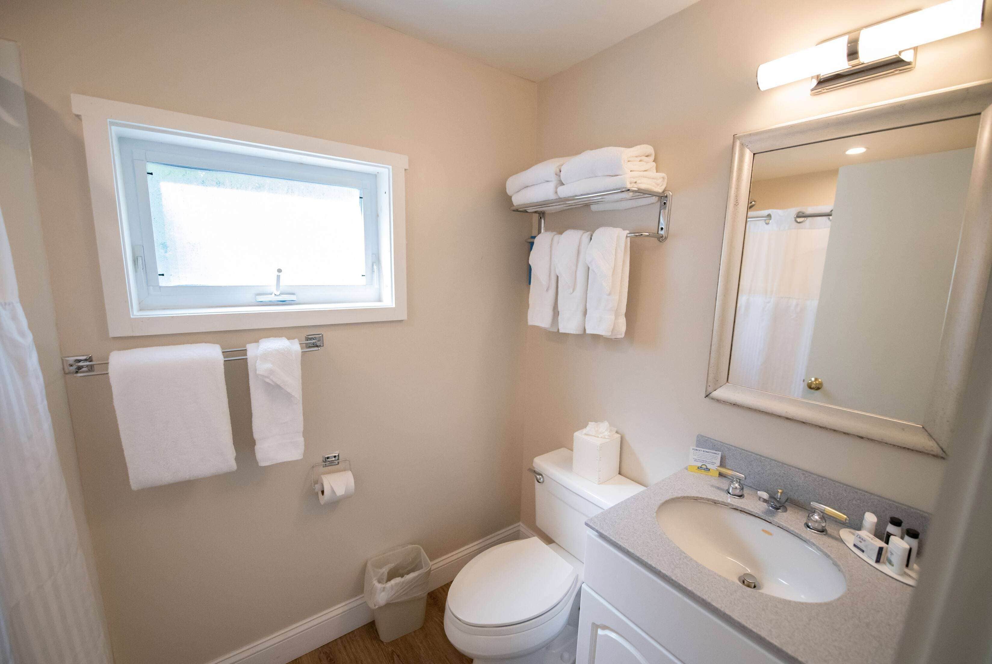A bathroom with a toilet, sink, and a window. There are towels on a rack and a trash bin.