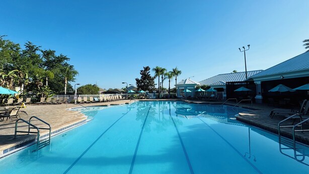 A clear blue swimming pool with lanes, surrounded by lounge chairs and umbrellas, and palm trees in the background. - Orlando Oasis (Kissimmee)