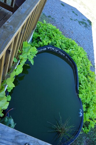 Fully Furnished Cabin (WIFI INCLUDED)