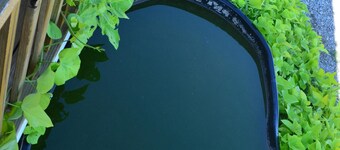 家具付きキャビン（WIFIを含む）