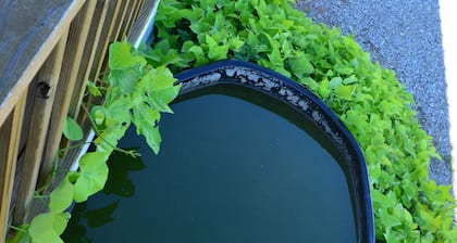 Fully Furnished Cabin (WIFI INCLUDED)