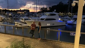 Un puerto deportivo con barcos amarrados, una pasarela peatonal y una zona verde con plantas.
