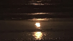 Escena de playa con la luna reflejada en el agua.
