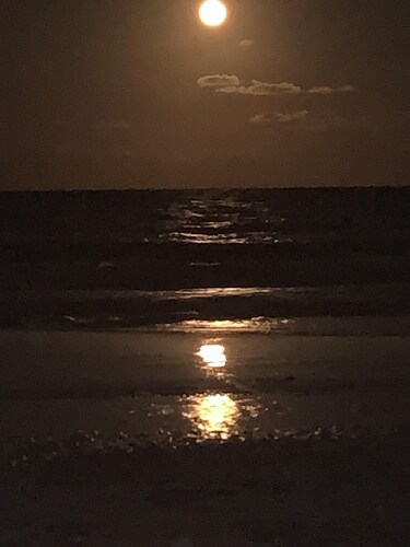 Kommen Sie und genießen Sie das Herbstwetter im wunderschönen Hilton Head