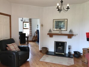 Téléviseur à écran plat, foyer, lecteur de DVD, livres