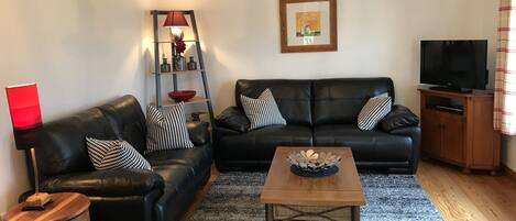 Flat-screen TV, fireplace, DVD player, books