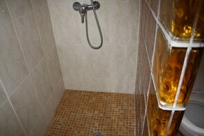 Combined shower/bathtub, bidet, soap, toilet paper