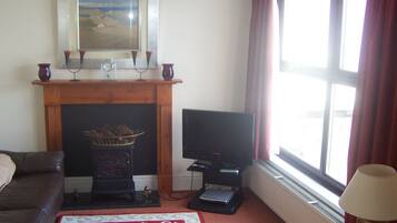 Televisie, een open haard, een dvd-speler en boeken